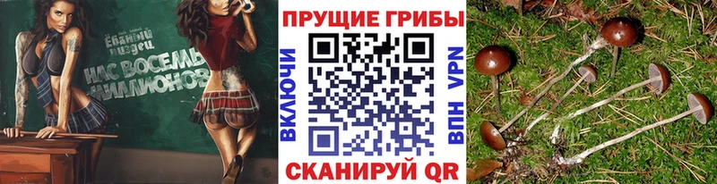 Галлюциногенные грибы Magic Shrooms  Купить  Харабали 